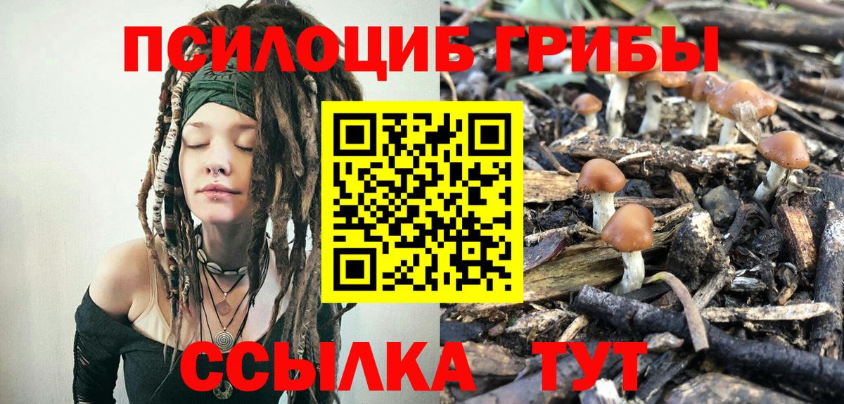Углич  Псилоцибиновые грибы Psilocybine cubensis  Галлюциногенные грибы GOLDEN TEACHER  Вход с VPN 